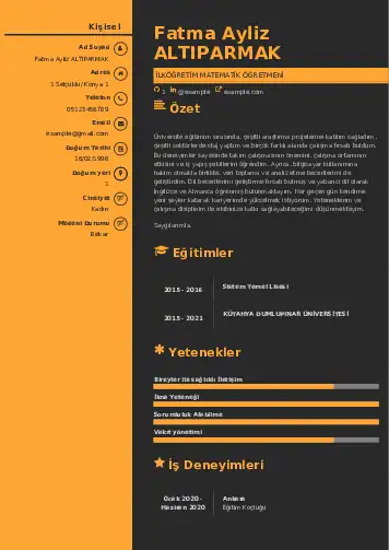 Matematik Öğretmeni Cv Örnekleri cv indir